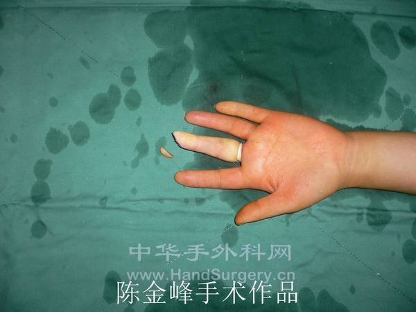 01.jpg