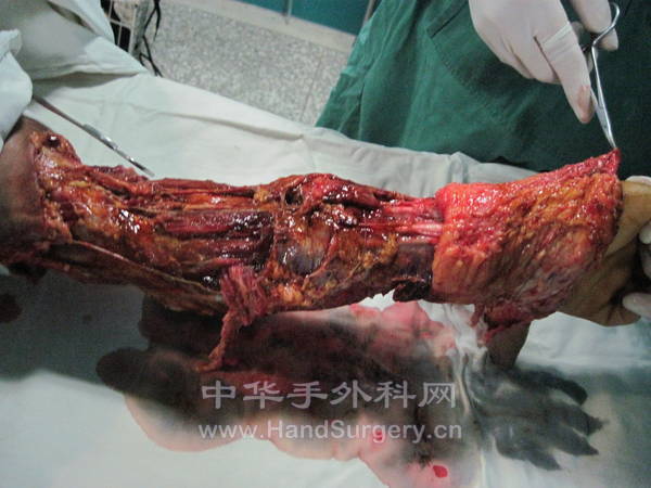 刘艳45833-22.jpg