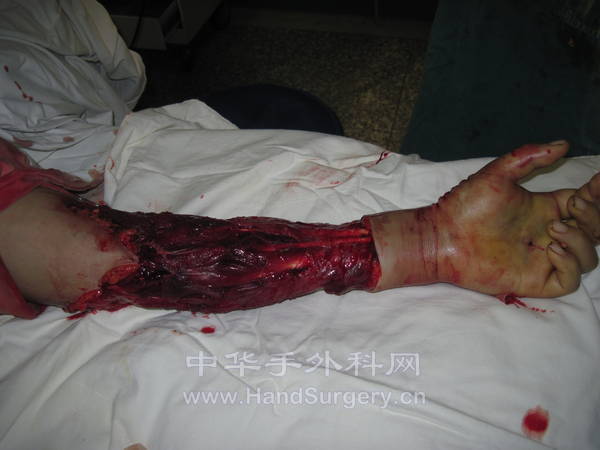 刘艳45833-28.jpg