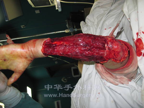 刘艳45833-29.jpg