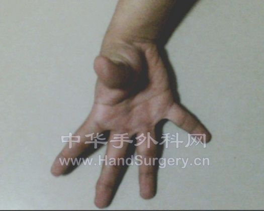 图5.jpg