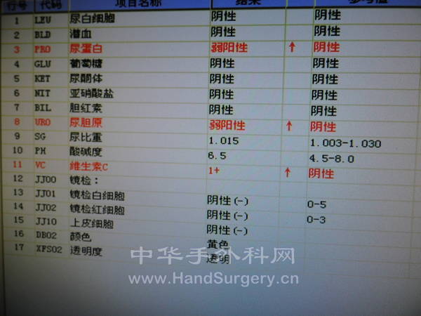 尿常规