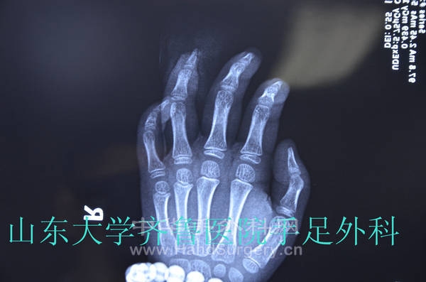 DSC_0040_副本.jpg