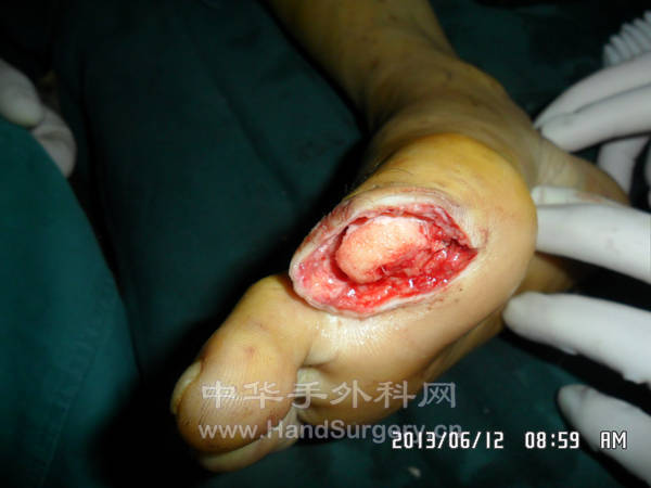 SAM_2917_副本.jpg