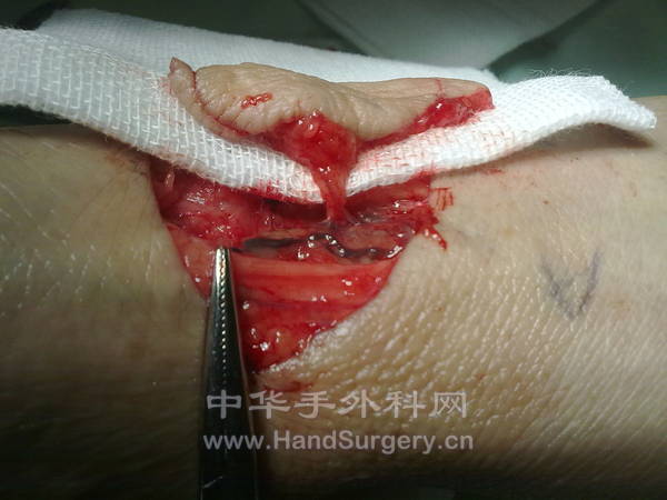 20130418837.jpg