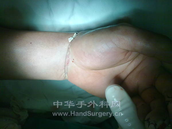 20130418841.jpg