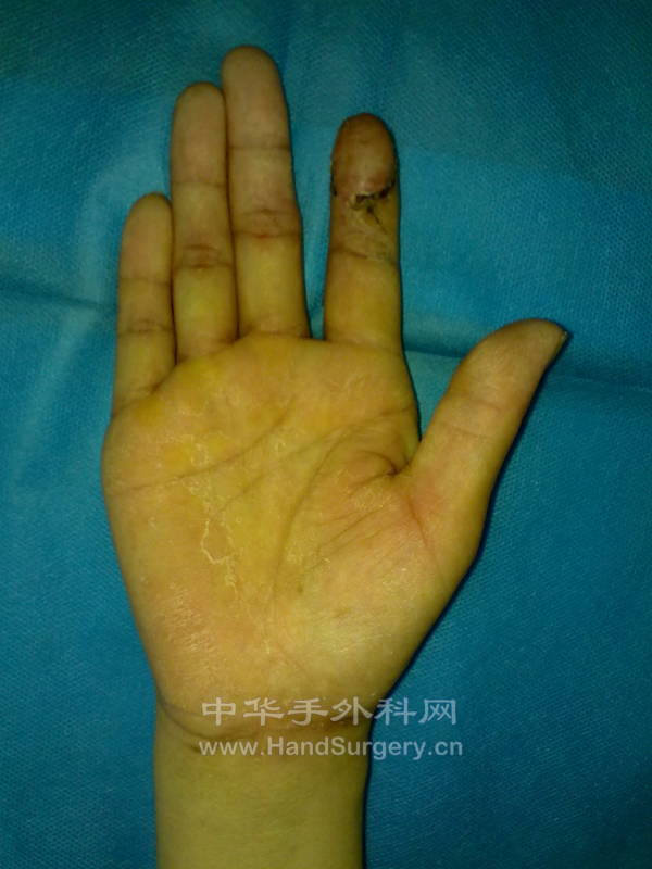 201305031138.jpg