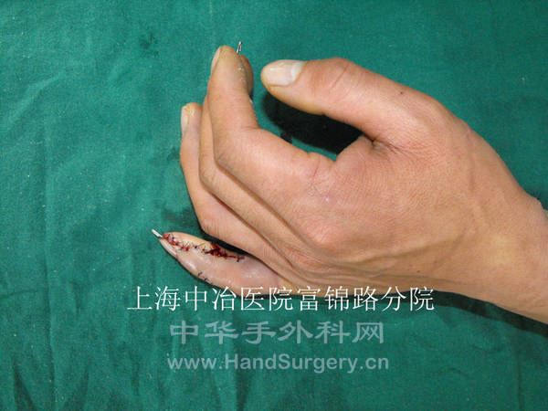 照片 025_副本.jpg