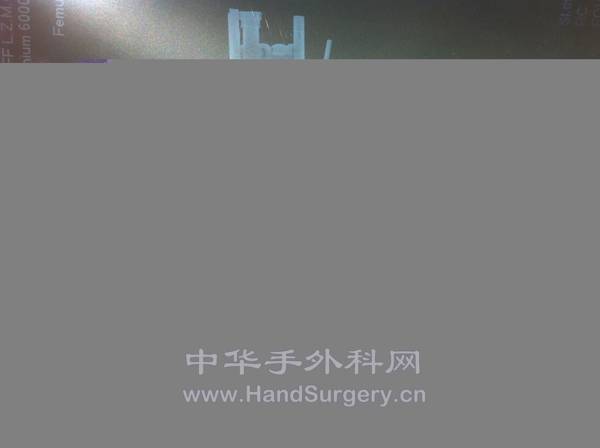 照片 502.jpg