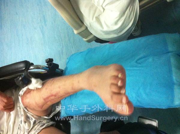 照片 510.jpg