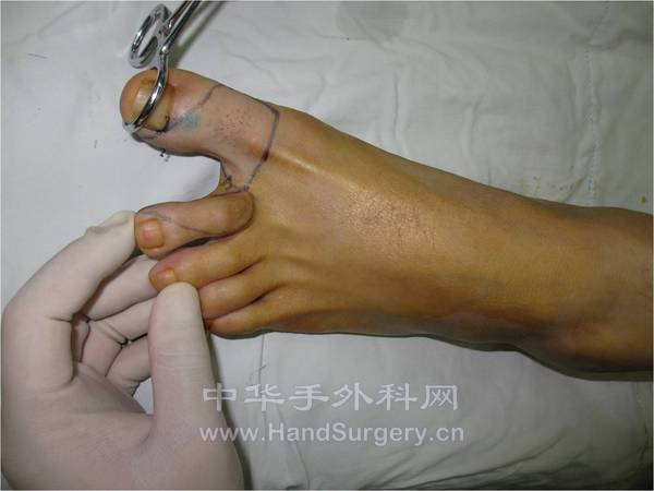 图片11.jpg