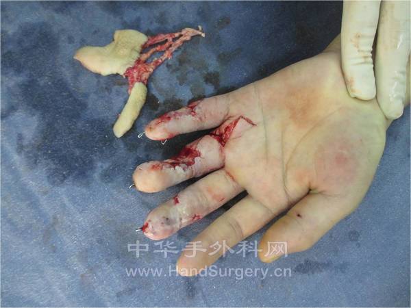 图片20.jpg