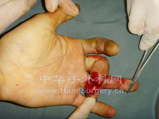 SNV35129.JPG