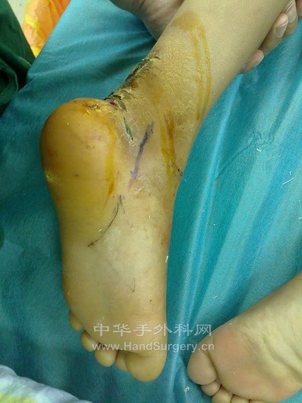 201308021770.jpg