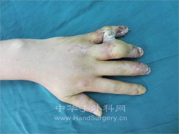 图片6.jpg