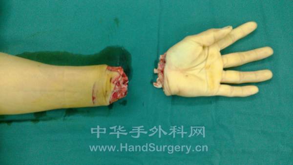 IMG_20130729_185557.jpg