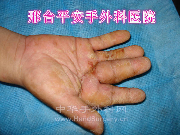 DSC04136_meitu_21.jpg