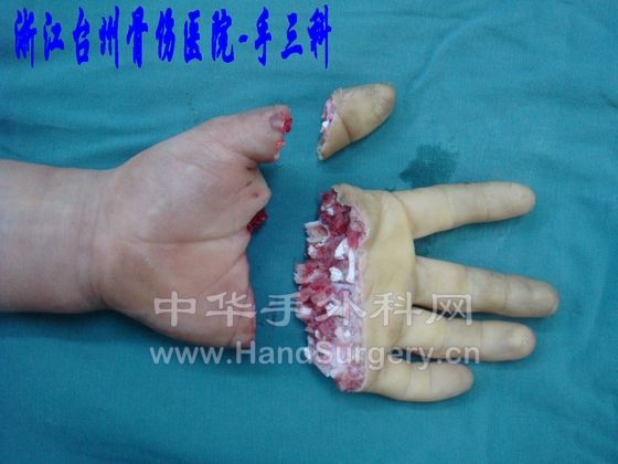上传004.jpg