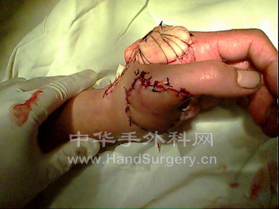 IMG0155A.jpg
