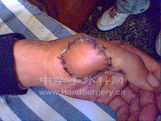 IMG0158A.jpg