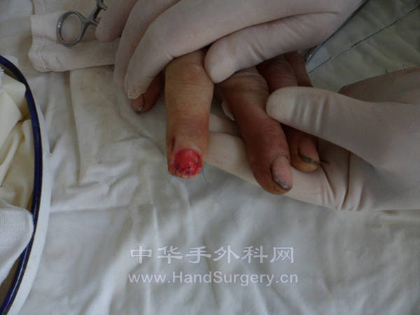 SAM_2268_副本.jpg