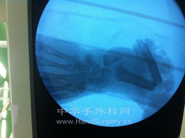 照片 1150.jpg