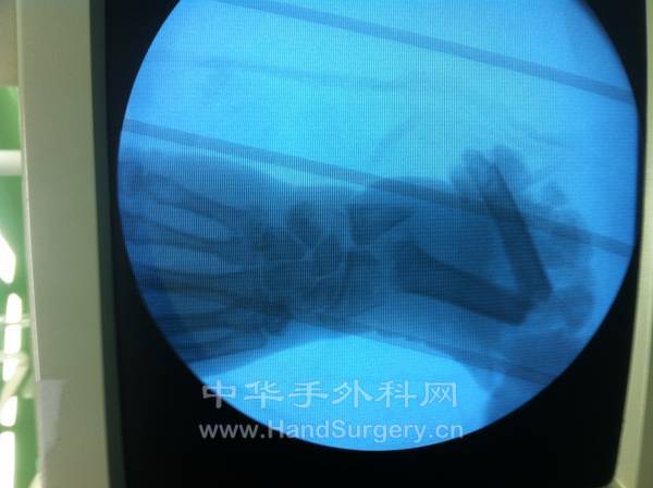 照片 1151.jpg