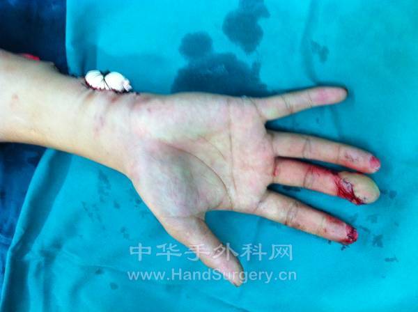 照片 536.jpg