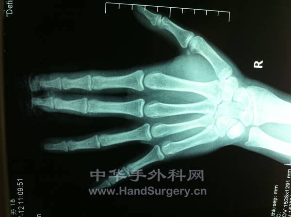 照片 539.jpg