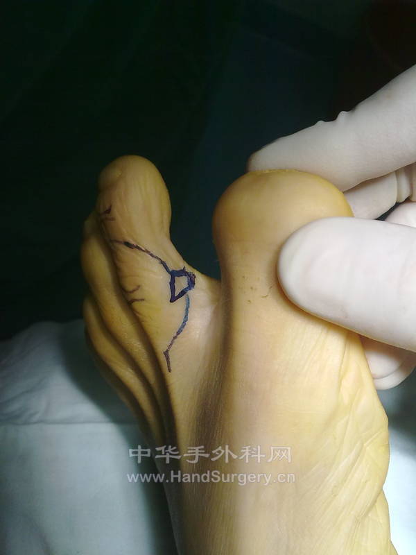 20130118270.jpg