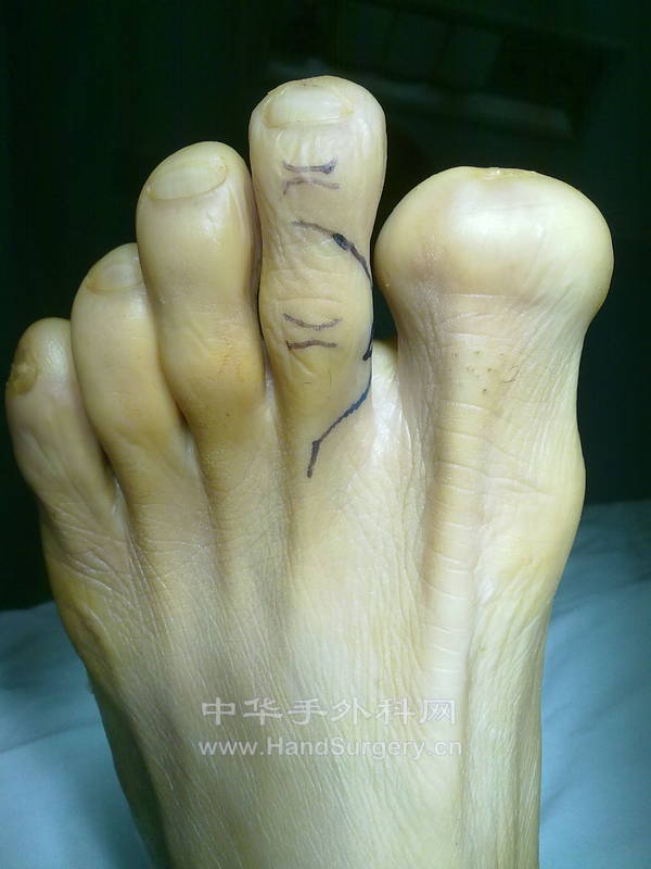 20130118271.jpg