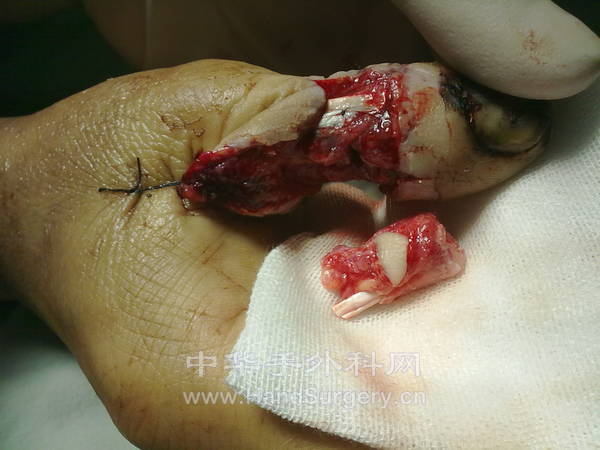 20130118274.jpg