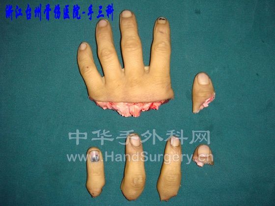 上传001.jpg