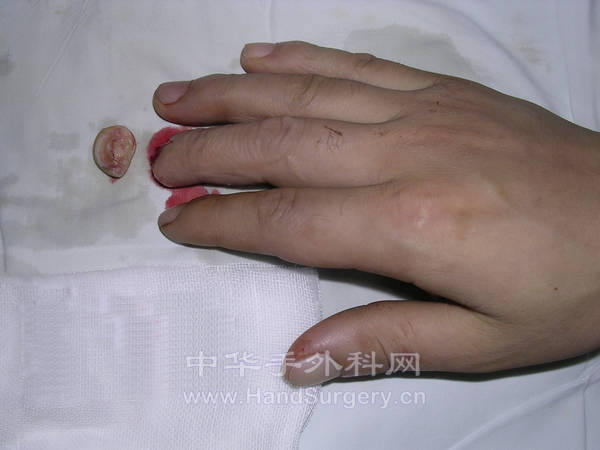 DSCN6486.JPG