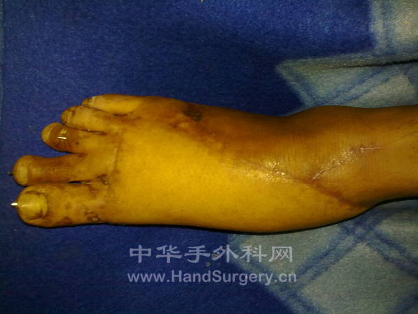 201310032234.jpg