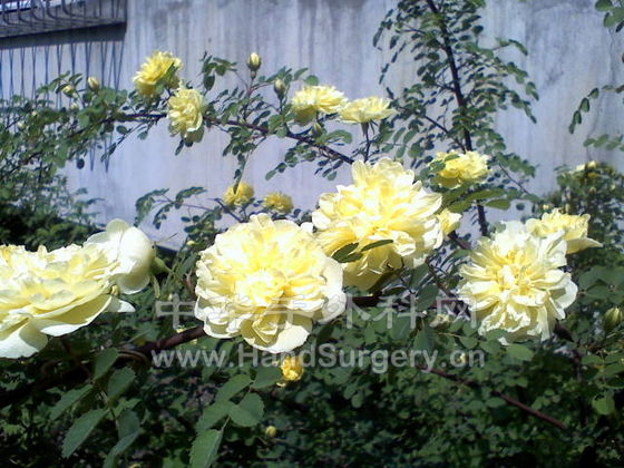 051608115443.jpg