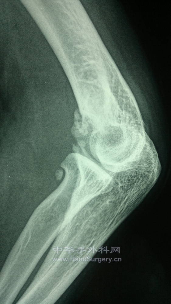 201310151988.jpg