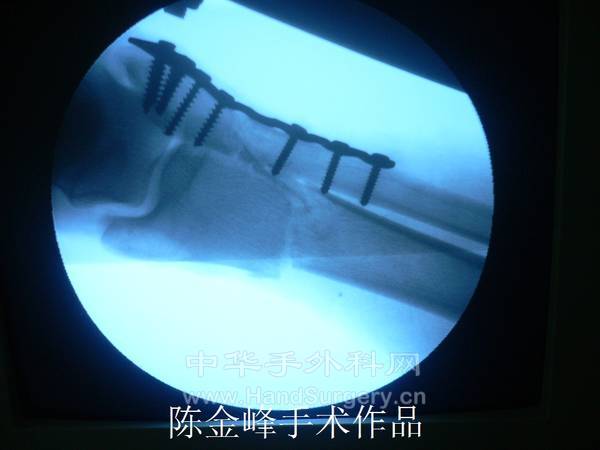 07.jpg