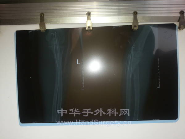 20130928_084223.jpg
