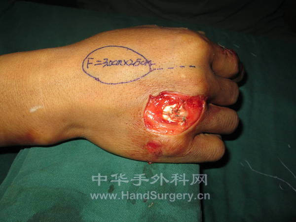 照片 262.jpg