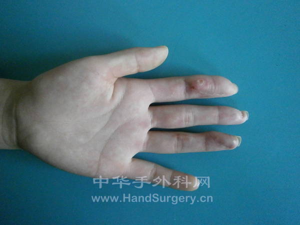 P1060046.JPG
