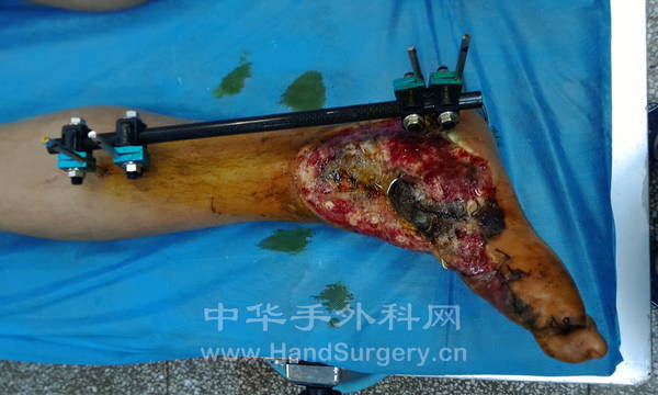 IMG_20131119_095946.jpg