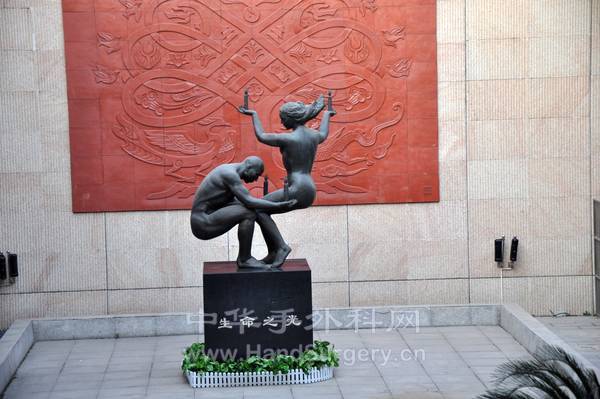 DSC_3797_conew1.jpg