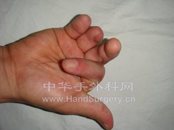 图片16.jpg