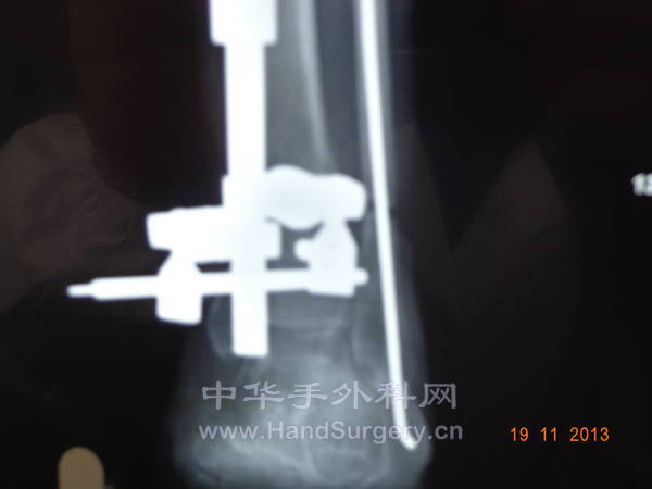 DSC02201.JPG