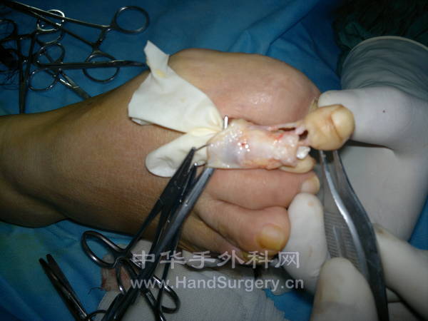 20130605410.jpg