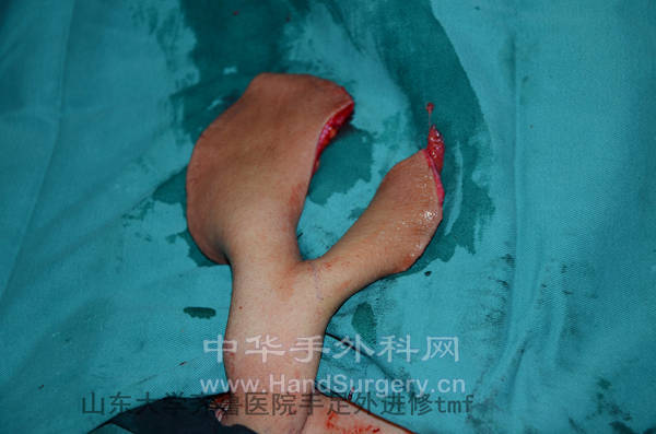 DSC_5308_副本.jpg