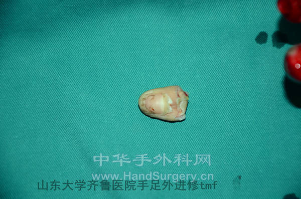DSC_6735_副本.jpg