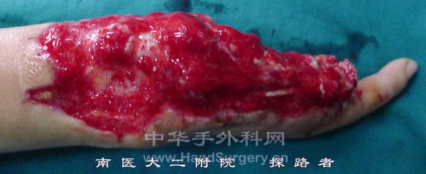 P1040285_副本.jpg