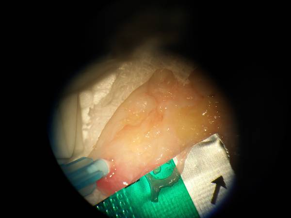 20130727_114155.jpg